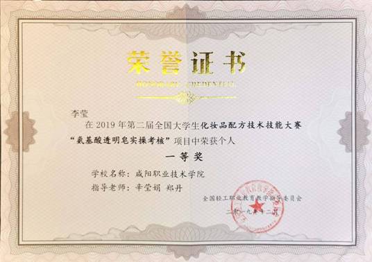 李莹一等奖.jpg
